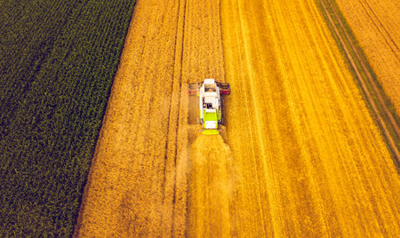 A modern combine harvester working on wheat field, aerial view. Countryside landscapeのeditorial素材
