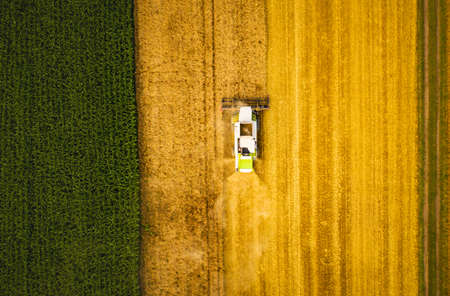 A modern combine harvester working on wheat field, aerial view. Countryside landscape