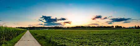 Panorama, sunset over soy fields and Austrian village with dramatic sky and colorful cloudsの写真素材