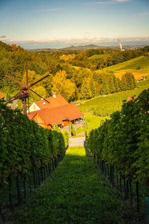 Styrian Tuscany Vineyard in autumn near Weingut Regele in Ewitsch. Tourist spot for wine lovers.の写真素材
