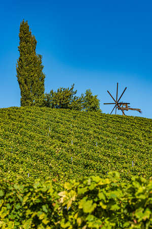 Styrian Tuscany Vineyard in autumn near South Styria, Rabenland. Tourist spot for wine lovers.の写真素材