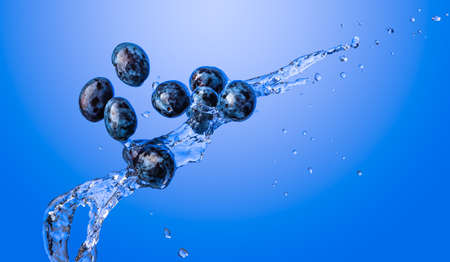 Isolated shot of plums splashing with water, isolated on blue background.