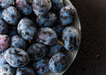 Wet Ripe Plums covered with water drops, closeup