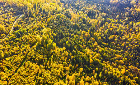 Aerial view of autumn forest in South styrias Green hart of Austria