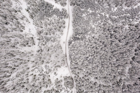 Aerial view of a snowy pine forest and road , hiking path.の写真素材