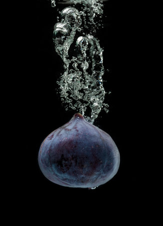 Single fig sinking in water isolated against black backgroundの写真素材