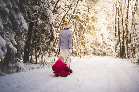 Mother pulling baby on a sled through winter forest.の写真素材