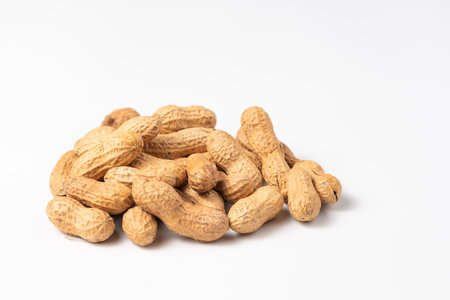 Dried peanuts in closeup isolated on white background. Copy spaceの写真素材