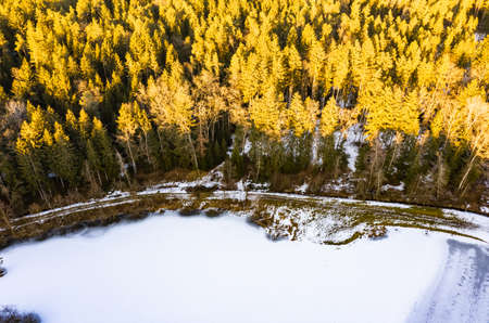 Aerial view of winter forest in sunset sun, ground covered with snow.の写真素材