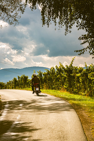 Spicnik, Slovenia 09.10.2016 View from famous wine street in on tuscany like vineyard hills. Tourist destinationのeditorial素材