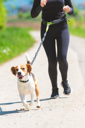Girl running with dog outdoors in nature on roadの写真素材