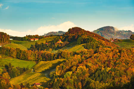 South styria vineyards, Tuscany of Austria. Sunrise in autumn.の写真素材