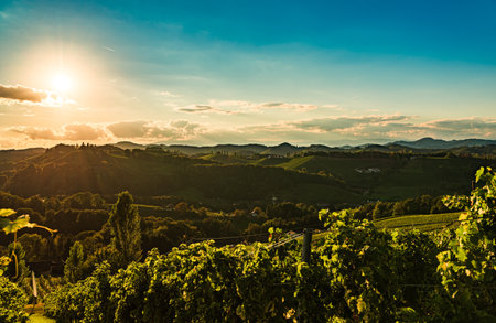 Vineyards panorama along Styrian wine road, Austria Europe