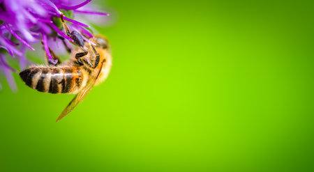 A stunning closeup of a bee collecting nectar from a vibrant flower, showcasing natures unique...