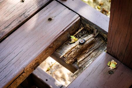 An old rusty screw inside a broken wooden seat assembly
