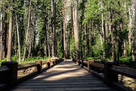 A wooden walking path to the Yosemite Waterfall as a giant lodge bridge.の写真素材