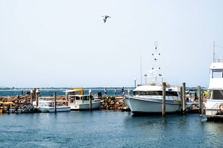 New South Wales, Australia - December 30, 2019 : Groups of tourists were enjoying their holidays and vacations at dockside near Nelson Bayの写真素材