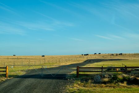 A traditional farmland with raised dairy animalsの写真素材
