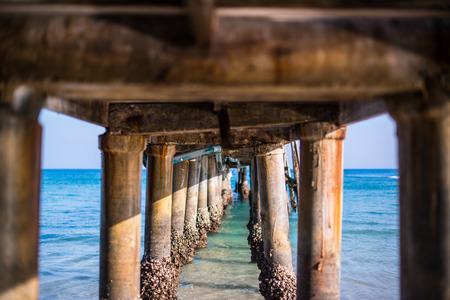 Into the Seaの写真素材