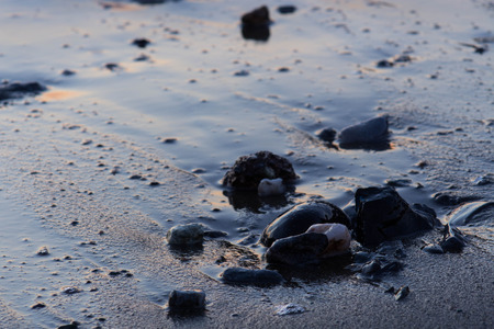 pebbles on tthe sandの写真素材