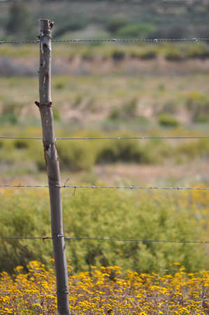 Fenceの写真素材