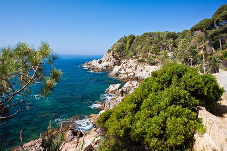 cliff line  costa brava lloret de mar spain