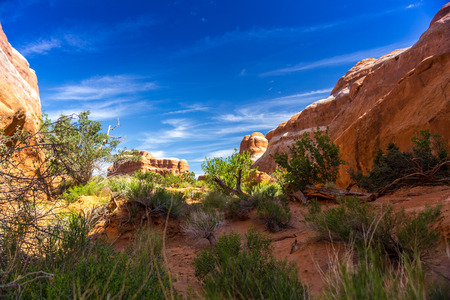 Arches National Park, Moab, Utah, USAの写真素材