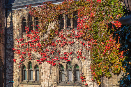 Castle of Wernigerode, Harz, Germany,のeditorial素材