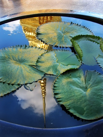 Bangkok Grand Palace: Magnificent Golden Stupa reflected on water and lotus leaves, in Wat Phra Kaeo, Grand Palace (Bangkok, Thailand)の写真素材