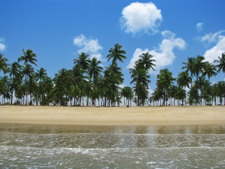 Porto de Galinhas, Brazil: gorgeous dreamy tropical beach.の写真素材