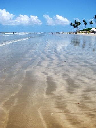 Porto de Galinhas, Brazil: gorgeous dreamy tropical beach.の写真素材