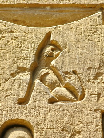 Archaeological site of Kom Ombo, Egypt  carving of a small cat