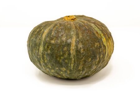 green pumpkin closeup on white backgroundの写真素材