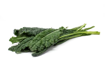 Tuscan black cabbage isolated on white background