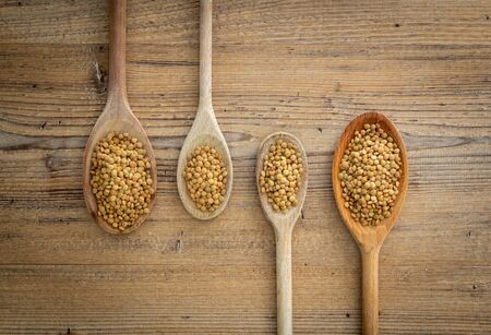 raw lentils over wooden ladles