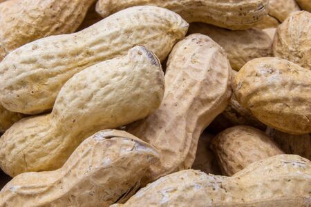 peanuts in shell on white background