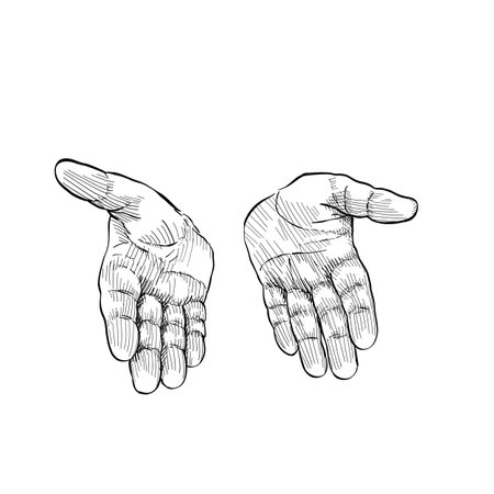 <p>Close up of two hands with palms facing up showing something. Hand language. Black and white illustration on white background.</p>の写真素材
