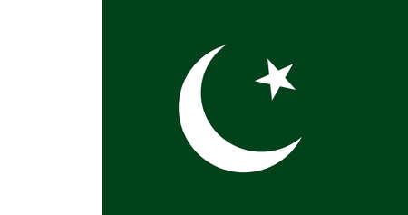 Pakistan flag with original RGB color vector illustration designのイラスト素材