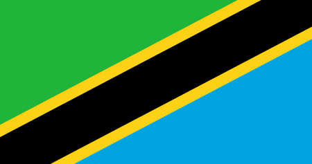 Tanzania flag with original RGB color vector illustration designのイラスト素材