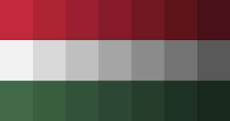 Hungary flag image backgroundの写真素材