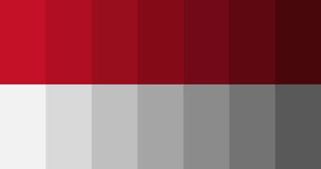 Monaco flag image backgroundの写真素材