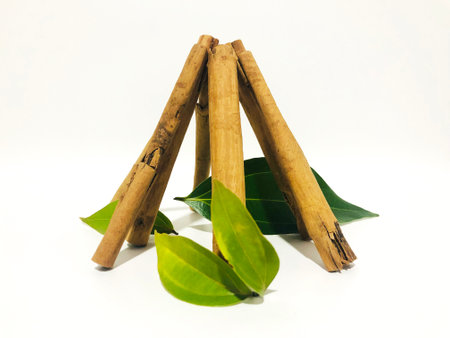 Fragrant cinnamon sticks on a white backgroundの写真素材