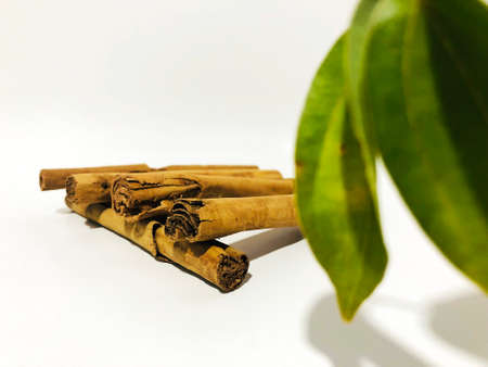 Fragrant cinnamon sticks on a white backgroundの写真素材
