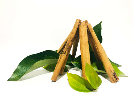 Fragrant cinnamon sticks on a white backgroundの写真素材
