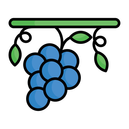 An icon of grapes, antioxidant fruitのイラスト素材