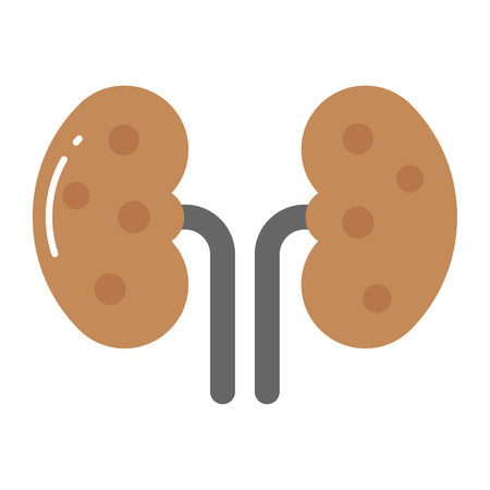 Kidney vector modern design, an human organ iconのイラスト素材