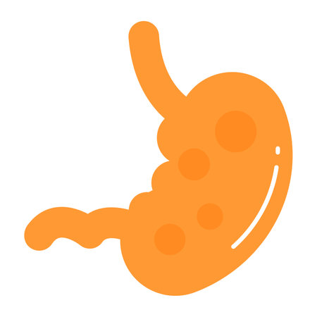 Human body organ to receive and process food, stomach vector iconのイラスト素材