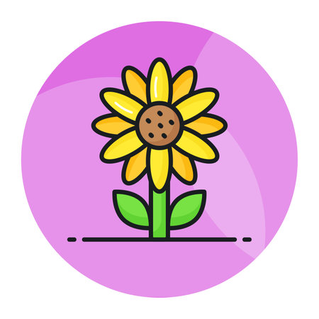 A beautifully designed vector of sunflower, an attractive icon of sunflowerのイラスト素材