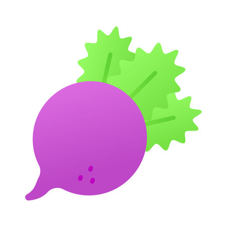 Garden radish vector design isolated on white backgroundのイラスト素材