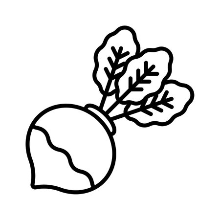 An amazing icon of turnip, root veggie, organic food, isolated on white backgroundのイラスト素材
